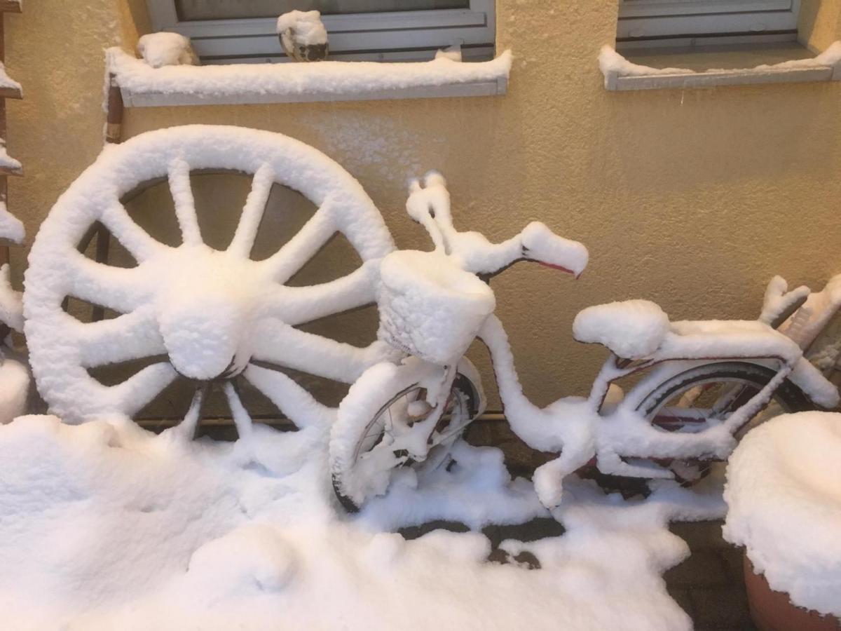Guest house Landpension Bielatal - 3*