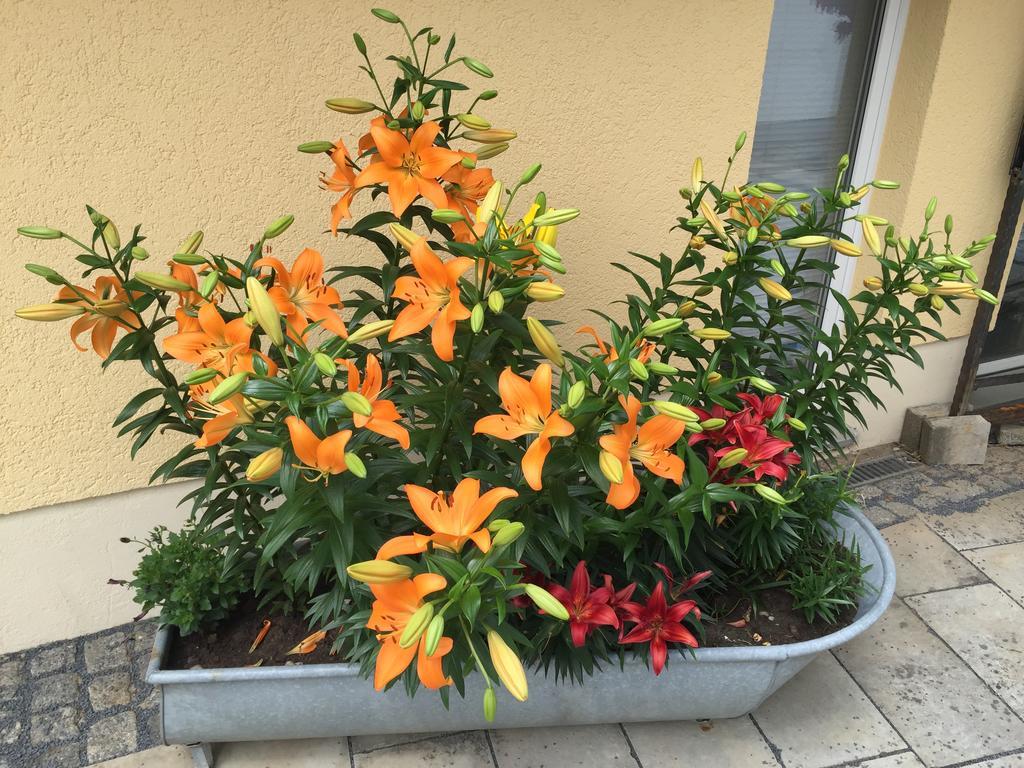 Landpension Bielatal - Raum