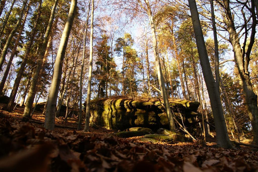 Landpension Bielatal -